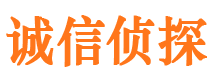 桐柏找人公司